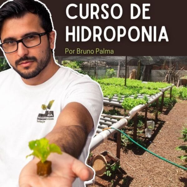 curso de hidroponia por bruno Palma