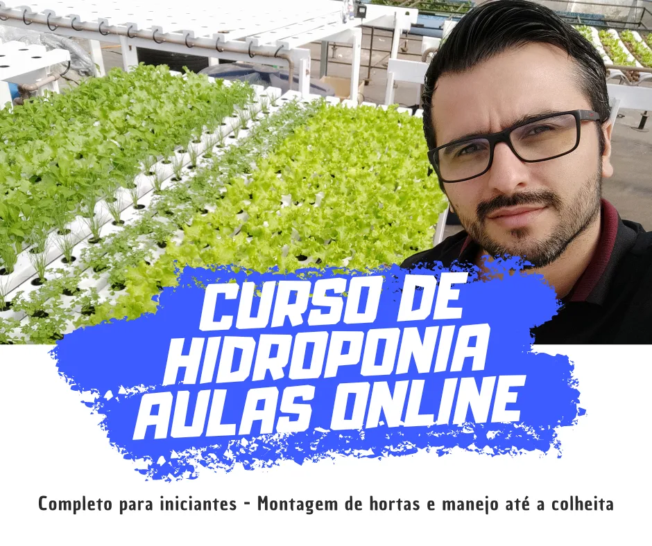 curso de hidroponia por bruno palma 2