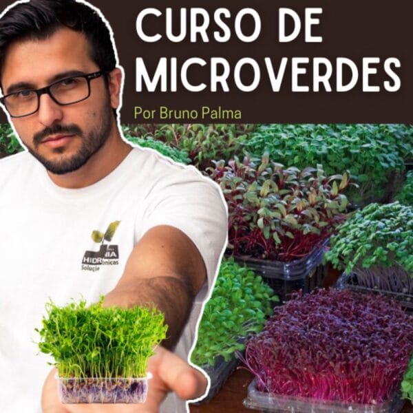 curso de microverdes por Bruno Palma