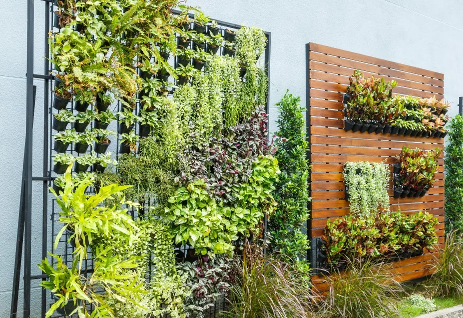 como fazer um Jardim vertical barato