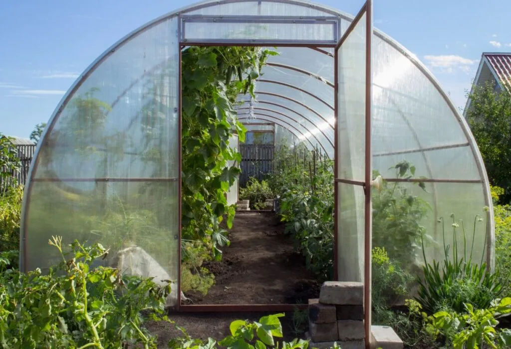 Estufa para plantas