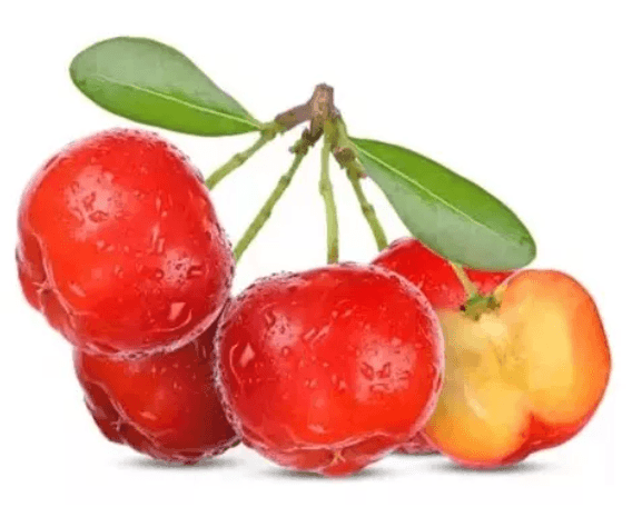 sementes para plantio de acerola