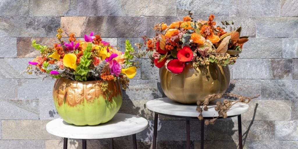 Uma flor da fortuna em cada vaso