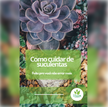 curso como cuidar de suculentas